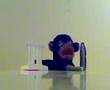Yoko's Telefonterror Teil 4