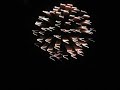 muskingum-fireworks-3-32908.html