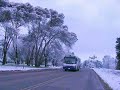 Nevada en Parque Pereira Iraola