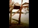 Die Menschengeschichte - Wahrberg 1983