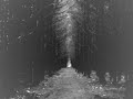 Profane Solitude - Vhozhdenie Profane Solitude - Vhozhdenie