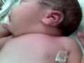 videos de marcelo lisandro negrete