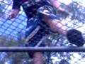 2 boi'z on cricket cage