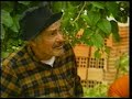 Taravé ha Pakova - Che suegra cañon
