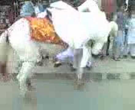 Funny Pakistani Wedding