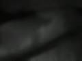 Dog's Teeth