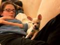 Sleepy Puppy 11, Cute things falling asleep, Sleepy Dog, Cute Animal, Funny Animals