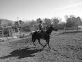 caballo el revelde