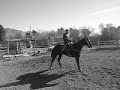 caballo el revelde