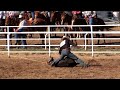 2008 Cheyenne Calf Abuse 2008 Cheyenne Calf Abuse
