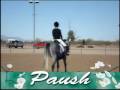 Paush promo video :)