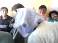 Boxer EN Clase De Psicologia..