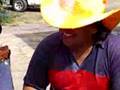 The Bandola from Venezuela