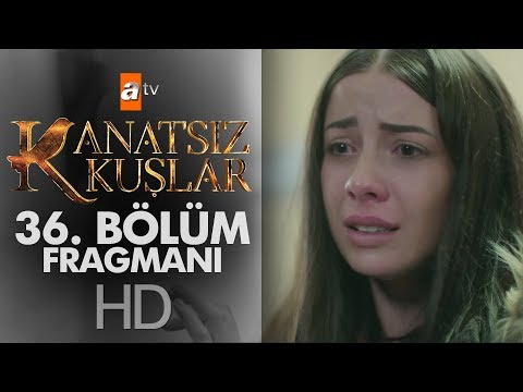 Kanatsız Kuşlar 36. Bölüm Fragmanı                                                                                                                                                                                                                        