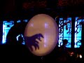 hand shadow play at ???? teahouse in chengdu
