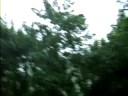 Burza