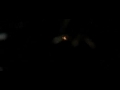 vliegjes bij avond 1 vliegjes bij avond 1
