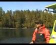 Orca & Humpback in Tofino B.C