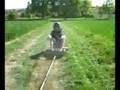 Sommerschlitten fahren 1/11