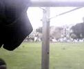 KALI MONSTER PULL UPS 7