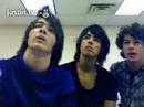 They all look at a fly at the same time!