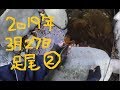 2019年3月27日　渡良瀬水系　渓流ちょうちん釣り