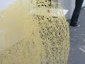 Roger: A Virtual Spaghetti Friend