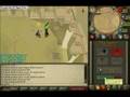 duel arena 5 ray1578