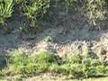 Long range .22 Rimfire at 200 yards. Video 2 of 2.