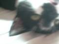 videos de Beatriz 155