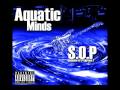 Salute S.O.P. Ft. Hoodrich