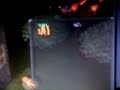 jonp70 hacked rrunescape and got 99mil