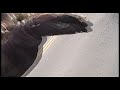 Unicycling video - 36'er