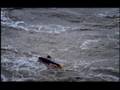 Pororoca: Surfing on the Amazon