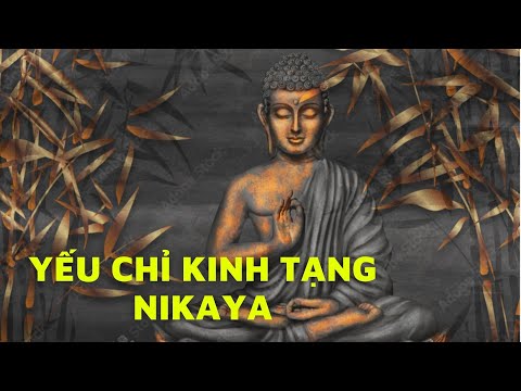 Yếu Chỉ Kinh Tạng NIKAYA Yếu Chỉ Kinh Tạng NIKAYA