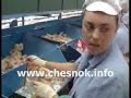 чеснок