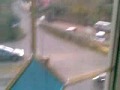 simeri crichi  dogs 16122009(001).mp4