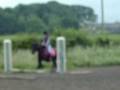 Haha Rubbish Jump! :P
