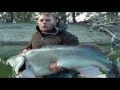 Using Balista lures on Murray Cod Using Balista lures on Murray Cod