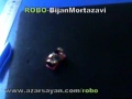 Steerable RC Vibrobot