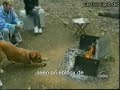 Dog and hot potatoe + cat got milk Dog and hot potatoe + cat got milk