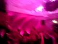 Pepes Bodega Grand Finale