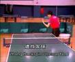 Zhang-serve