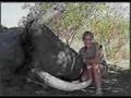 The Beast In Me: The Love Of Killing By Big Game Hunters