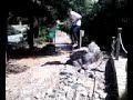 pogo on the rocks (right before other one)
