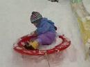 Mt. Adams Bobsled Championship