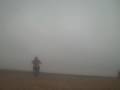 videos de Nick tobin