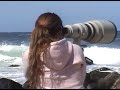 Freesurf na Silveira 2004