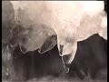 Land der offenen Fernen - Wandern in der Rhön (Trailer)