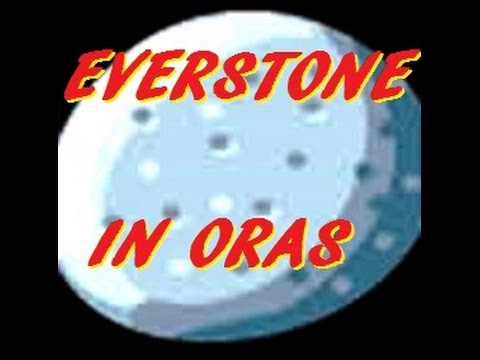 how to get more everstones in oras